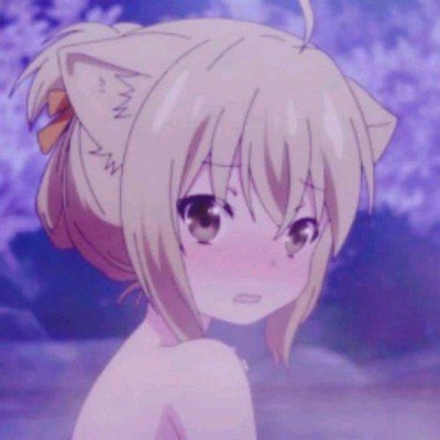11月新规来了
